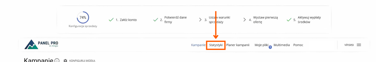 Statystyki kampanii Allegro ROAS